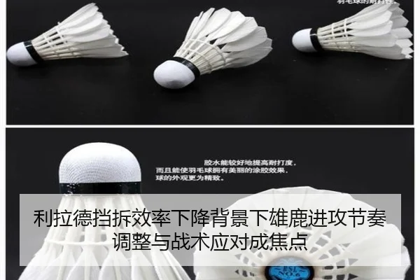 img_1785413544884_68_1_979.jpg